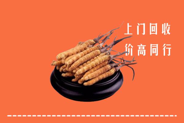 海安市冬虫夏草回收多少钱每克