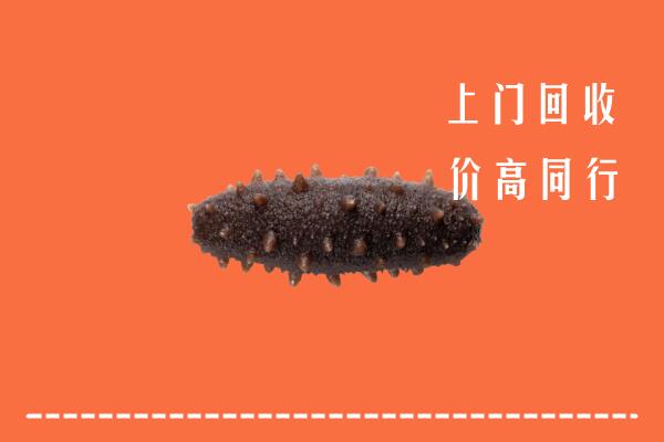 收购行情：海安市回收海参